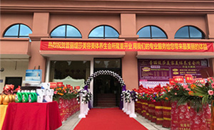 花季传媒APP网站免费进入走近湖南潇湘之...