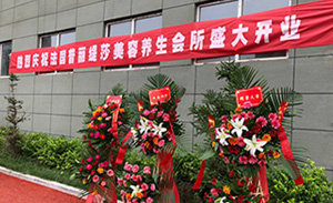 优雅旗袍秀，惊艳了普丽...