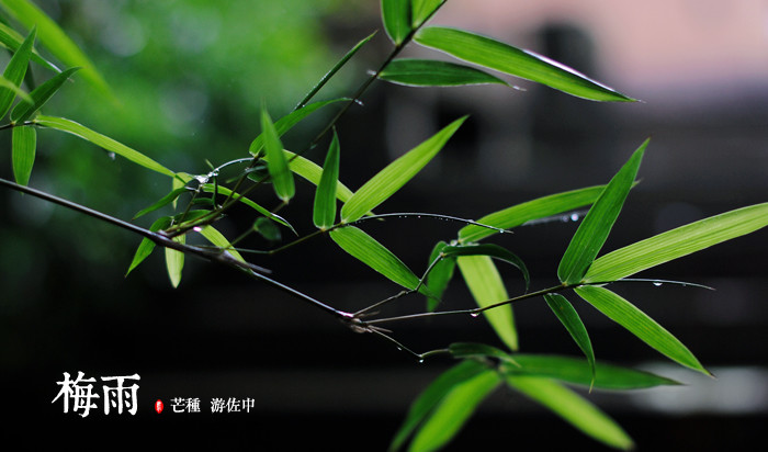 梅雨之际如何避免成为“黄梅脸”