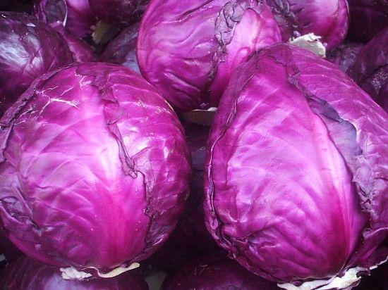 美容菜品第四号：紫甘蓝